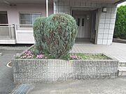 植栽