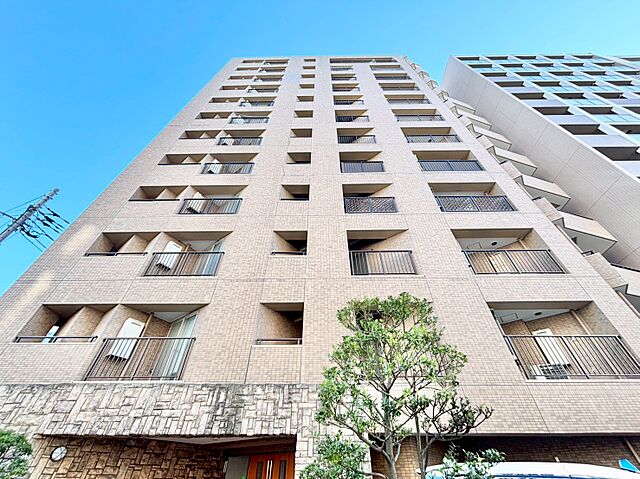 外観 セザール向島 3階/-