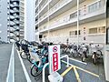 駐輪場も綺麗に...