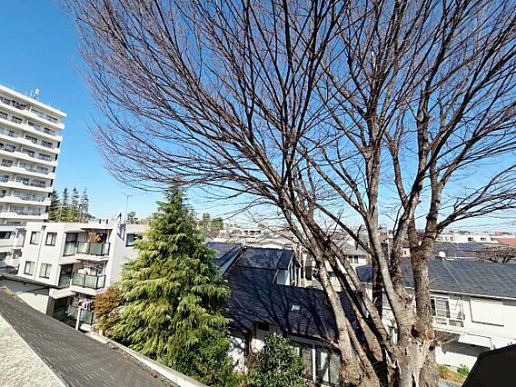 陽当たり・通風...