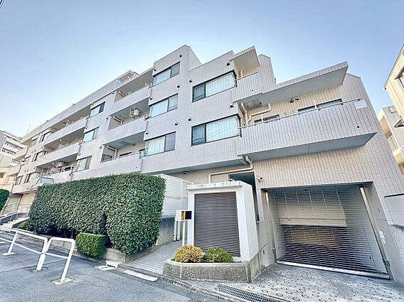 飽きのこないシ...