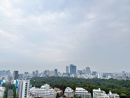陽当たり・通風・開放感に恵まれた環境です。
