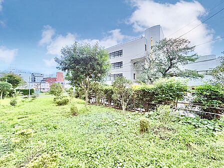 陽当たり・通風・開放感に恵まれた環境です。