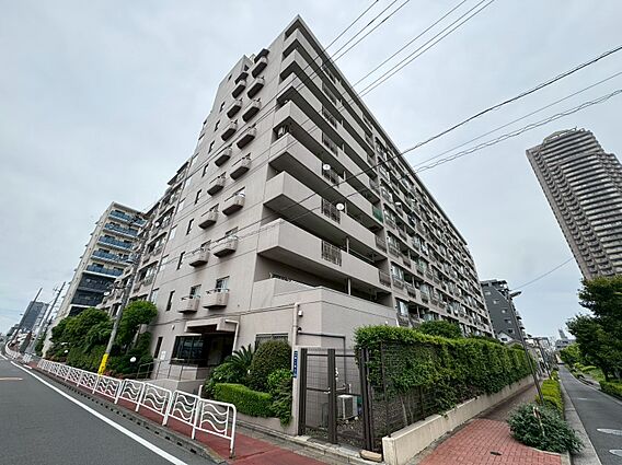 飽きのこないシ...