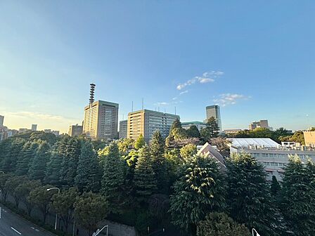 眺望や窓からの景色が良いと、家で過ごす時間も快適です。