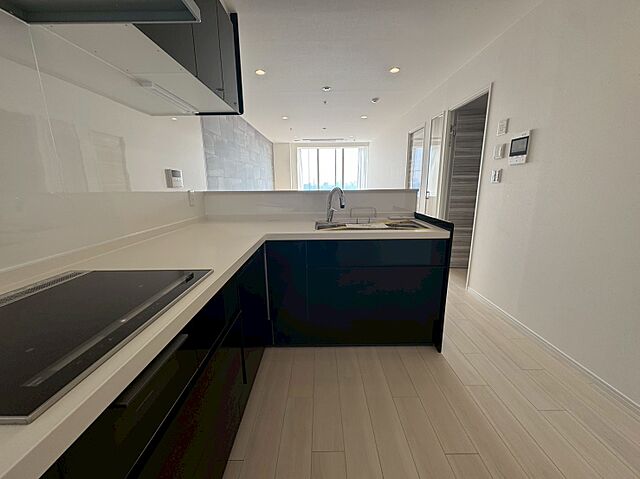 キッチン ステーションガーデンタワー 36階/-