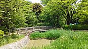 岡本公園（706m）
