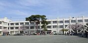 世田谷区立玉川小学校（568m）