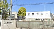 世田谷区立松沢小学校（693m）