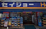 くすりセイジョー 沼部店（506m）
