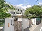 大田区立石川台中学校（489m）