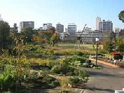中目黒公園（514m）
