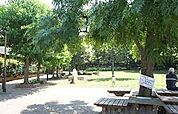世田谷区立 ねこじゃらし公園（726m）
