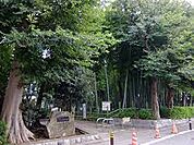 すずめのお宿緑地公園（783m）