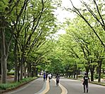 駒沢オリンピック公園（885m）