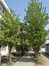 世田谷区立尾山台中学校（591m）