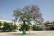 世田谷区立深沢小学校（471m）