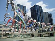 品川区立三木小学校（423m）
