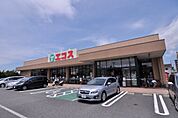 エコス 市川島尻店（449m）