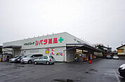 ドラッグストア 「シバタ薬品住吉店まで752m」