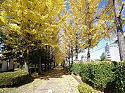 公園「駅東2号緑地まで260m」