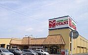 スーパー「フードマーケットオータニ野沢店まで1064m」