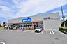 周辺：ウエルシア江戸川本一色店（563m）