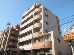 スプリングライト