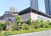 スーパービバホーム 豊洲店（807m）