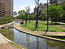周辺：大横川親水公園（417m）
