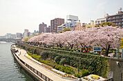 区立隅田公園（544m）