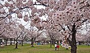 一ツ家第一公園（894m）