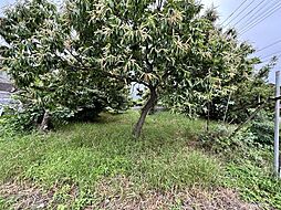 売地 - 山王町