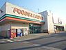 周辺：オークワ河内長野店（900m）