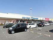 万代北野田店 1542m