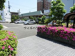 6 / 13