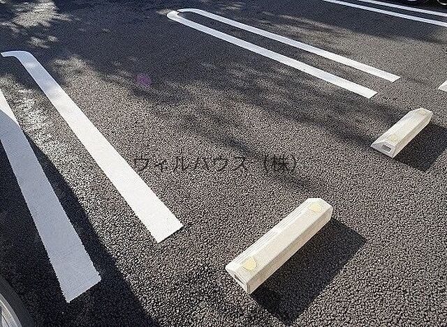 19 / 22