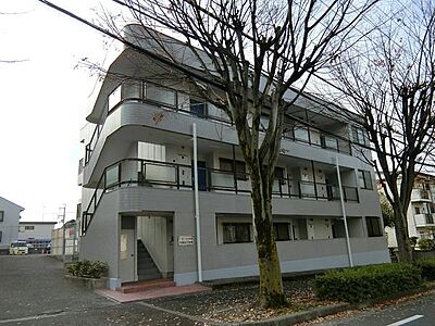 外観 外観