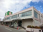 ライフ深井店 1637m