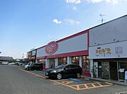 ザ・ダイソー大阪狭山くみの木店 1006m