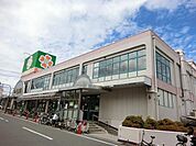 ライフ深井店 1619m