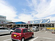ホームセンターコーナン金岡蔵前店 2153m
