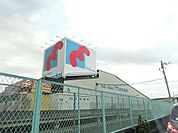 万代美原店 1724m