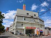 イズミヤ百舌鳥店 549m