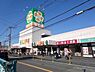 周辺：ライフ福泉店 1205m