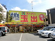 スーパー玉出天美店 1015m