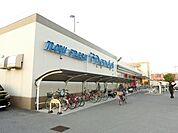 万代堺土師店 1251m