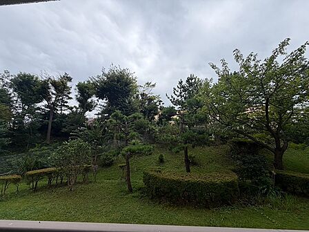 窓から広がる緑豊かな庭園。四季折々の自然の移ろいを身近に感じられる住まいです。