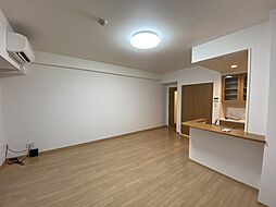 キャッスルコート博労町 1LDKの写真