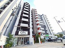 GLORYKISERA(グローリーキセラ)